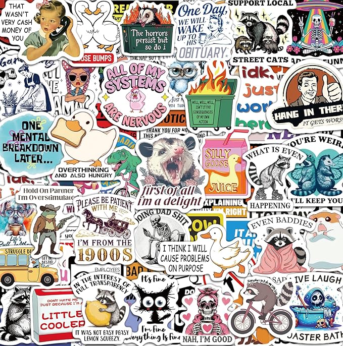 300 Pcs Funny Stickers for Adults, Water Bottle Vinyl Meme Laptop Waterproof Cute Sticker Pack, Scrapbook Planner Journal Stickers Supplies Gifts for Men Women Hard Hat Bumper