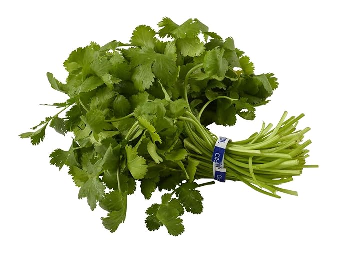 Cilantro, 1 Each