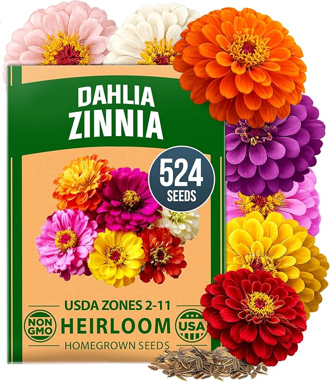 HOME GROWN Zinnia Dahlia Seeds Pack for 2026 Non GMO 524 Flower Seeds | Vibrant Zinnia Elegans for Pollinator Gardens, Borders & Containers | Easy-to-Grow Outdoor Blooms