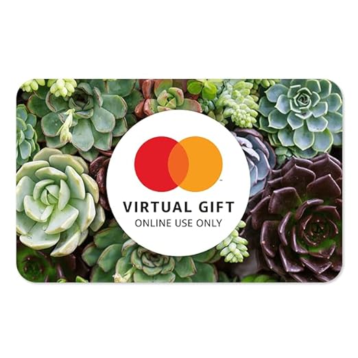 MasterCard Virtual eGift Card - $100 (plus $5.95 purchase fee) | For Online Use Only