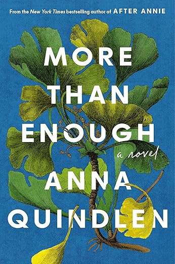 More Than Enough: A Novel