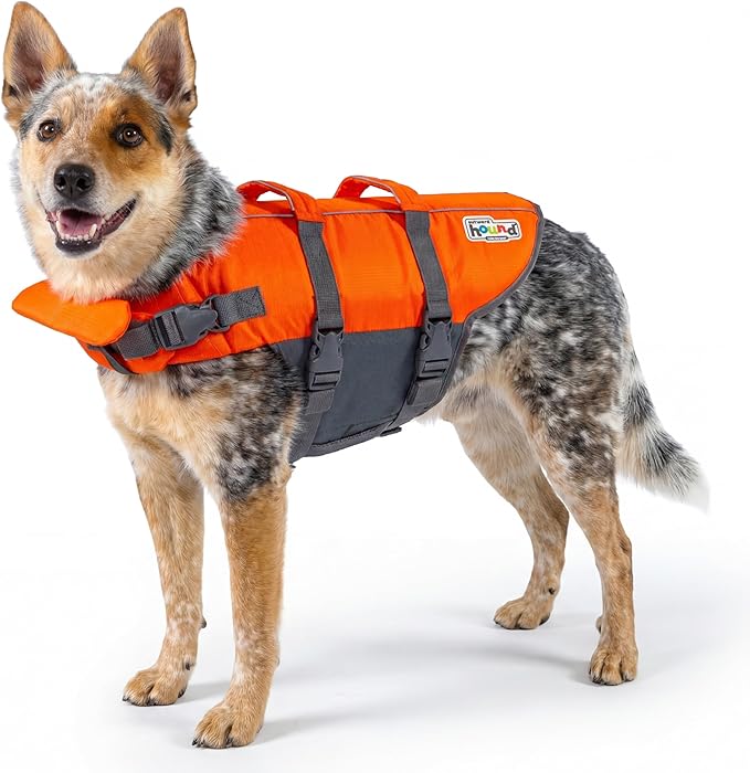 Outward Hound Granby Splash Orange Dog Life Jacket, Medium