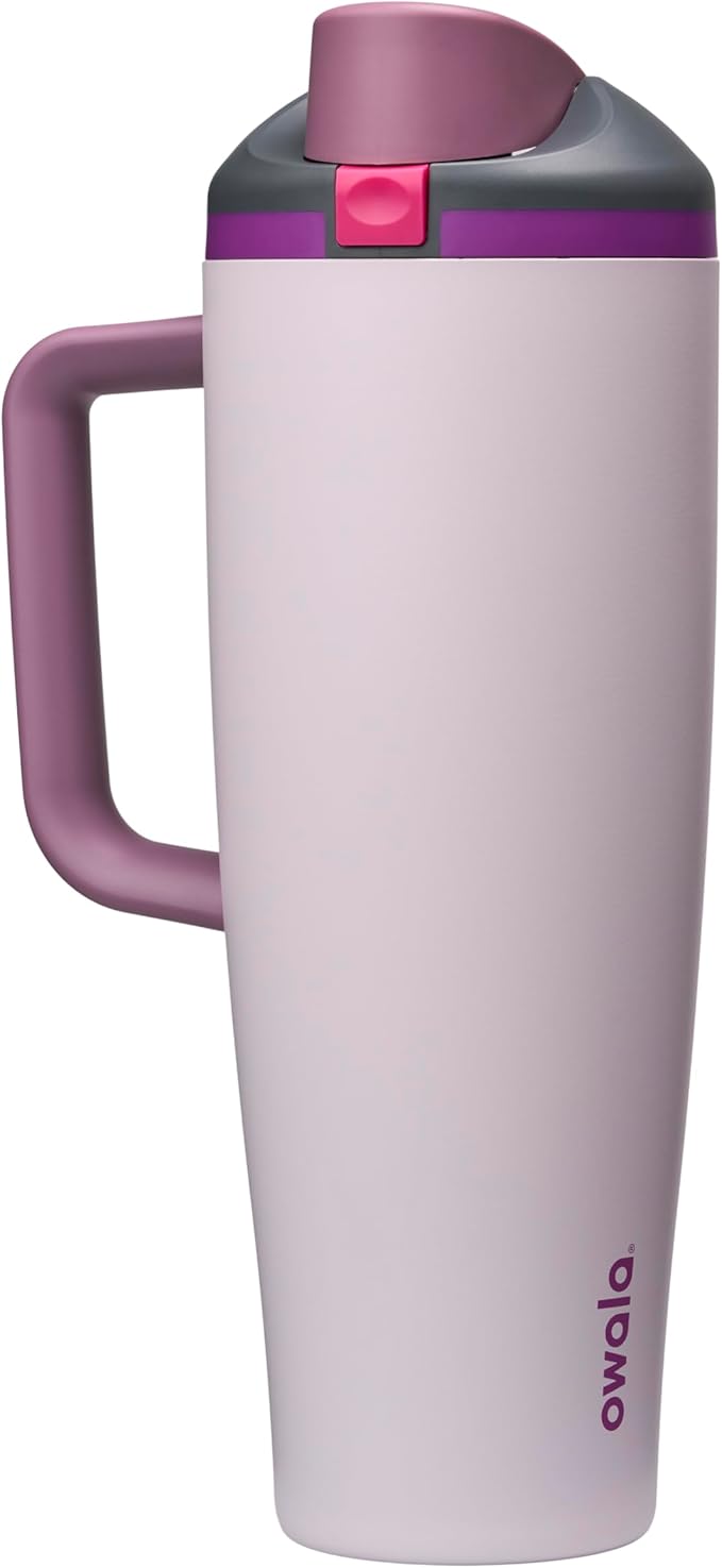 Owala FreeSip Tumbler Insulated Stainless Steel Water Bottle with Built-in Straw and Side Handle, For Travel, Work, School, and Sports, BPA Free, Leak Proof, 40oz, Dreamy Field